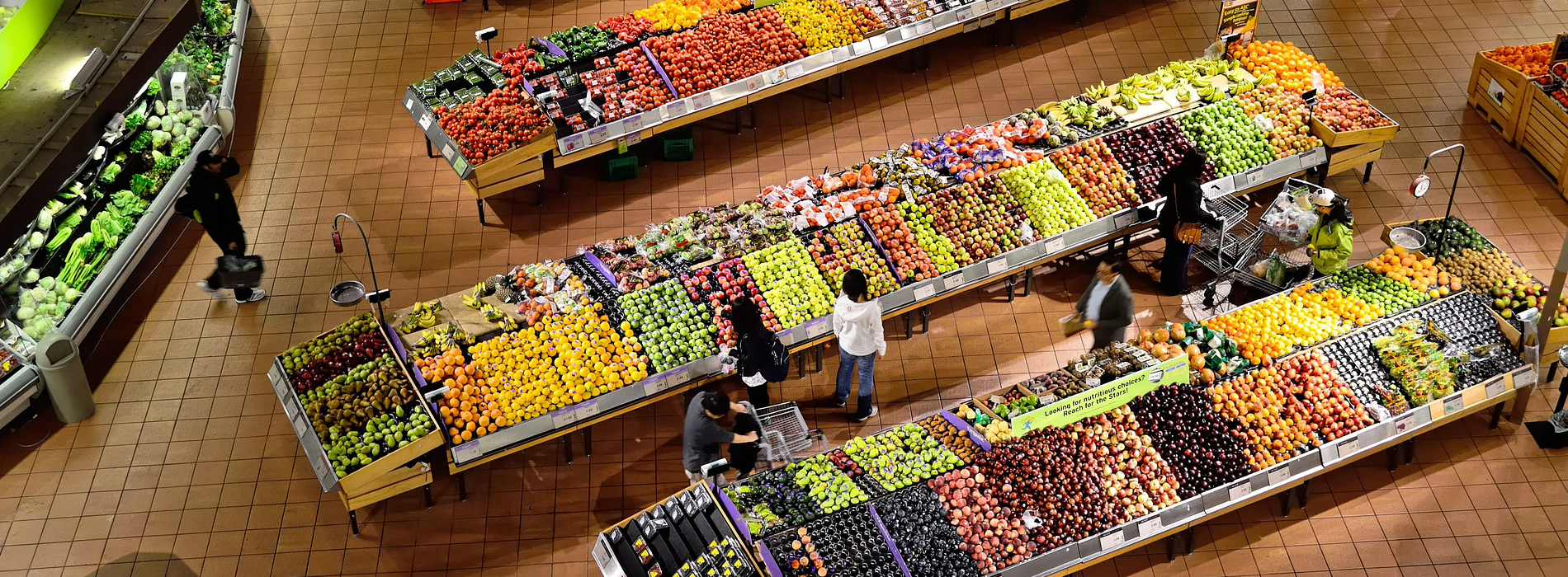 organic food market