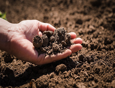 soil