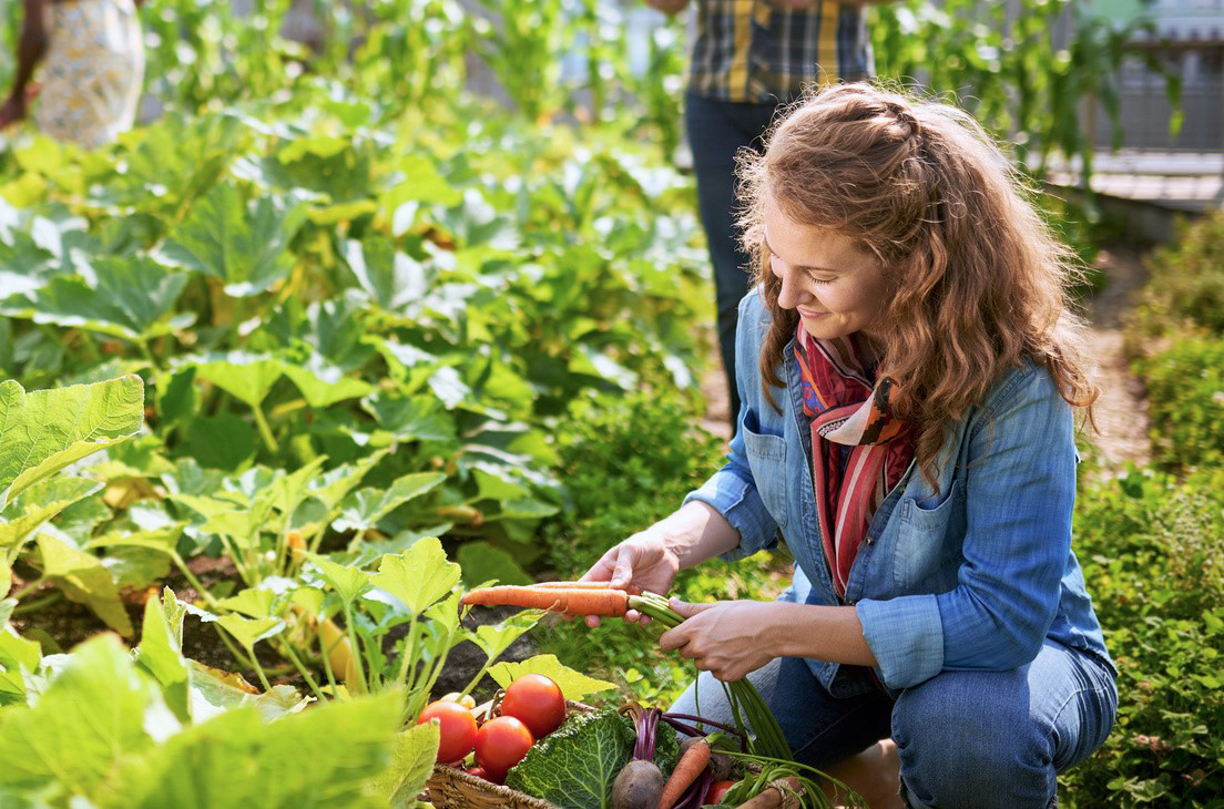 organic garden